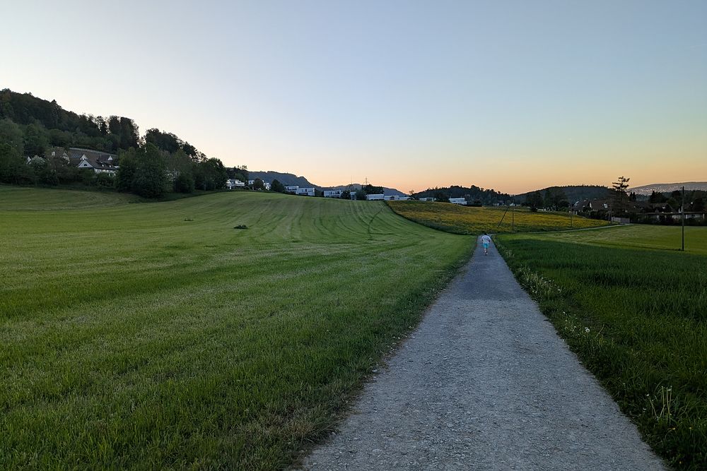 A gravel track running straight through meadows at sunset.